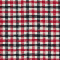 Mini Check Unconstructed Jacket