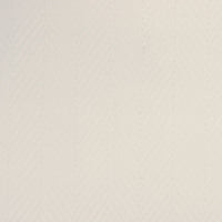 Thomas Mason Royal Twill 100/2 Shirt