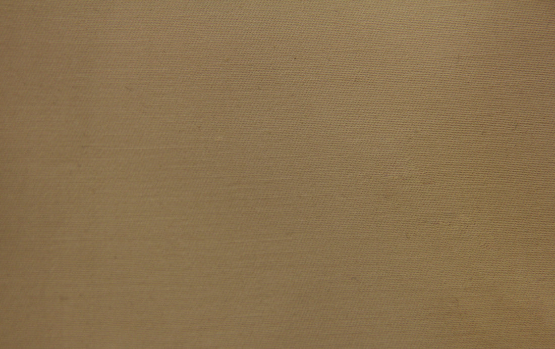 Water Repellent Stretch Cotton Chino