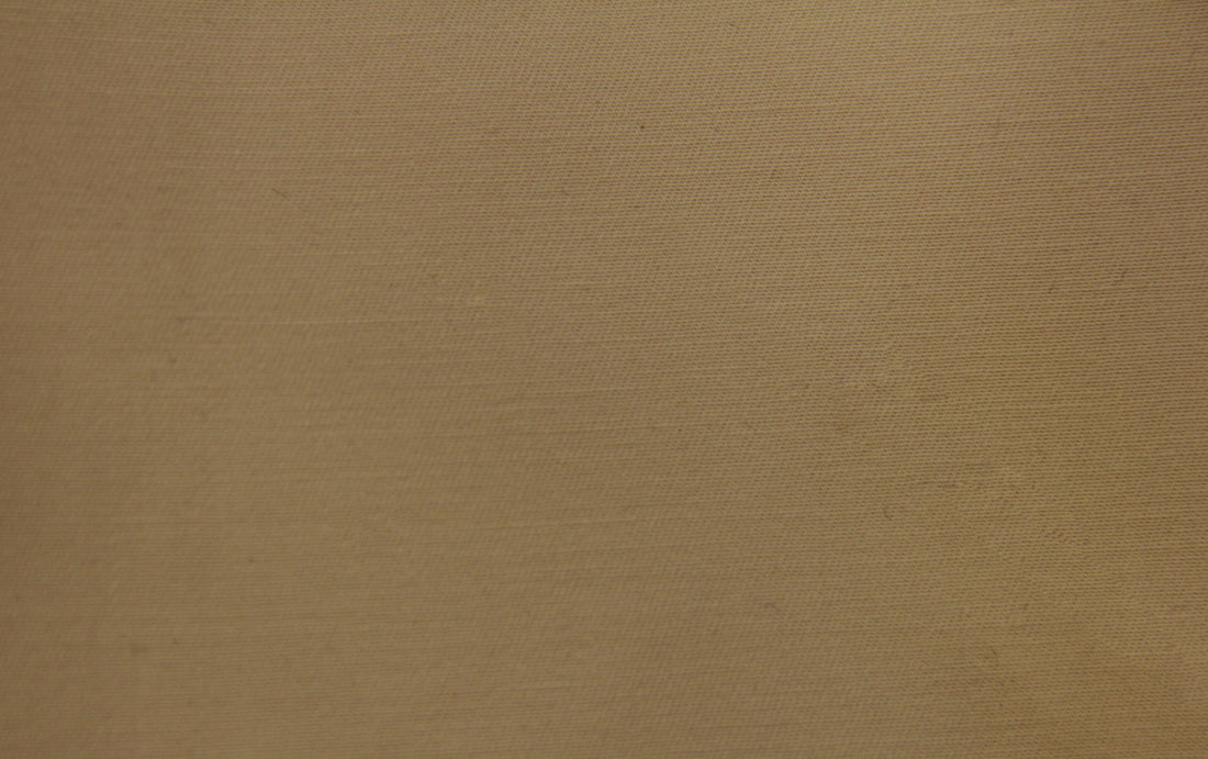 Water Repellent Stretch Cotton Chino