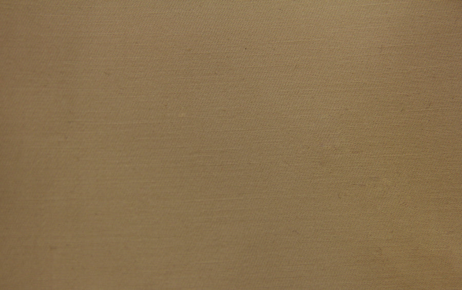 Water Repellent Stretch Cotton Chino