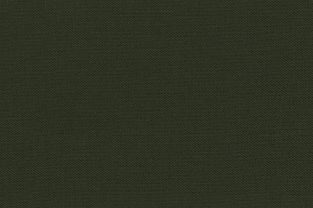 Gianluca Biatti- Dark Olive