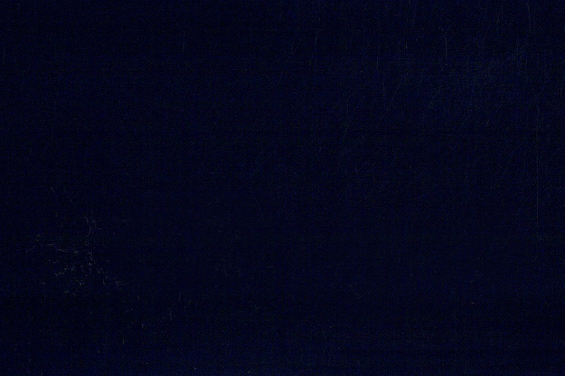 Vitale Barberis Canonico Perennial Super 110's- Dark Navy