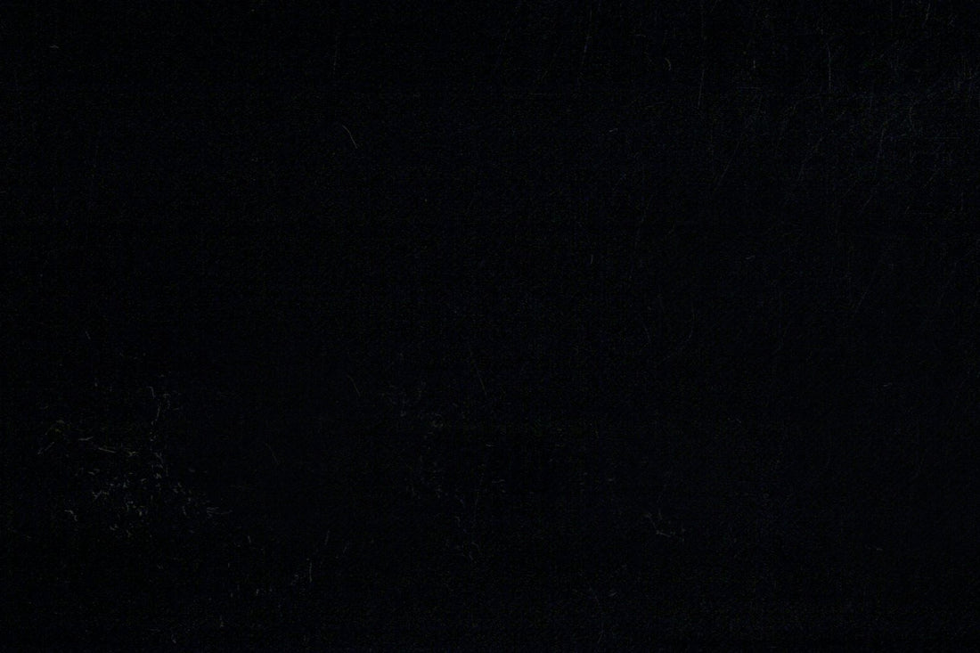 Vitale Barberis Canonico Perennial Super 110's- Black