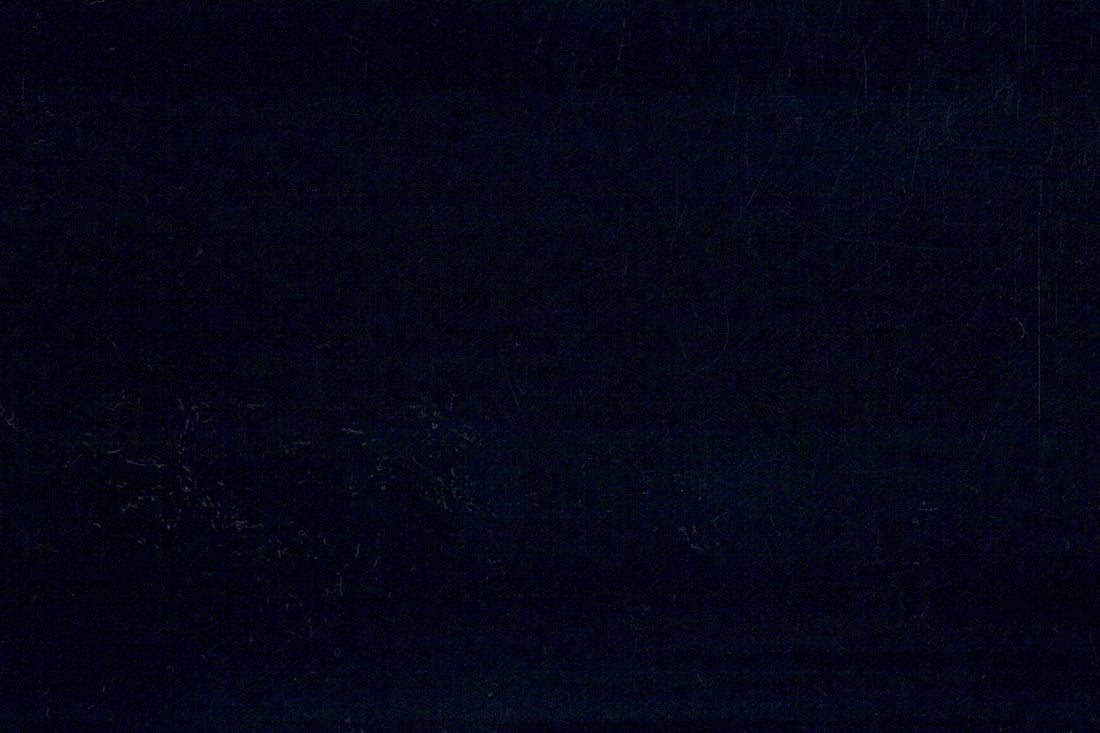 Vitale Barberis Canonico Perennial Super 110's- Dark Navy