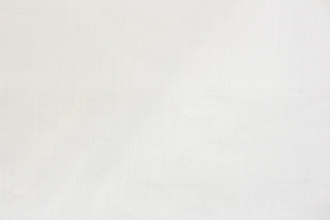 Ermenegildo Zegna Twill Shirt (White)