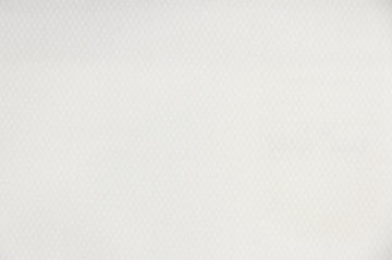 Ermenegildo Zegna Jacquard Shirt (White On White Self-Patterned)