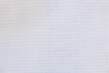 Ermenegildo Zegna Popeline Shirt (Blue Mini. Check)