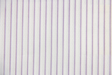 Ermenegildo Zegna Popeline Shirt (White w/ Purple Stripe)