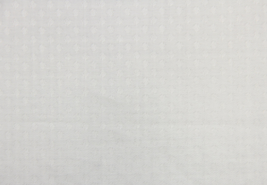 Ermenegildo Zegna Jacquard Shirt (White On White Dotted)