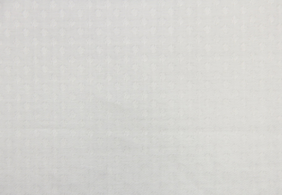 Ermenegildo Zegna Jacquard Shirt (White On White Dotted)