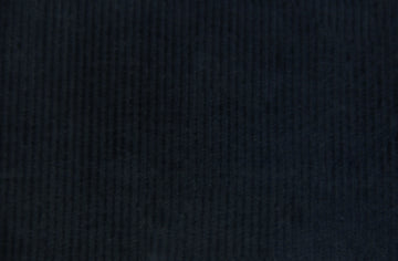 Ermenegildo Zegna Light Weight Corduroy (Navy)