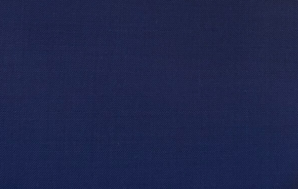 淺海軍藍