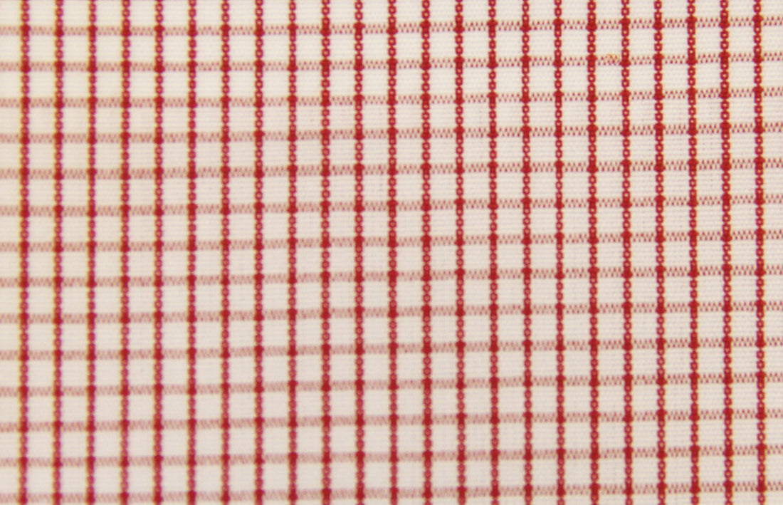 Thomas Mason Sliver 100/2 Shirt