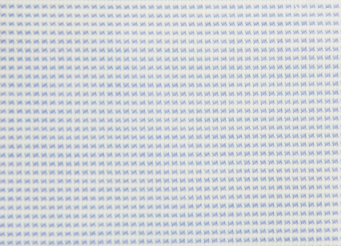 Thomas Mason Royal Oxford 100/2 Shirt