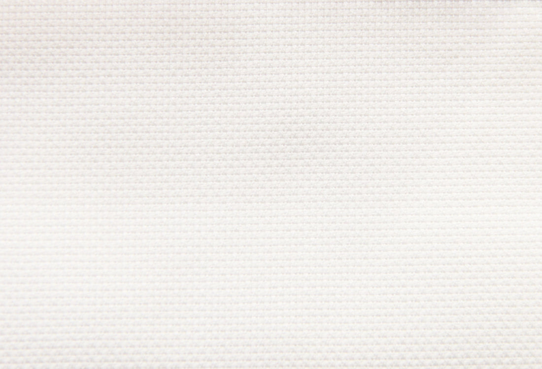 Thomas Mason Royal Oxford 100/2 Shirt