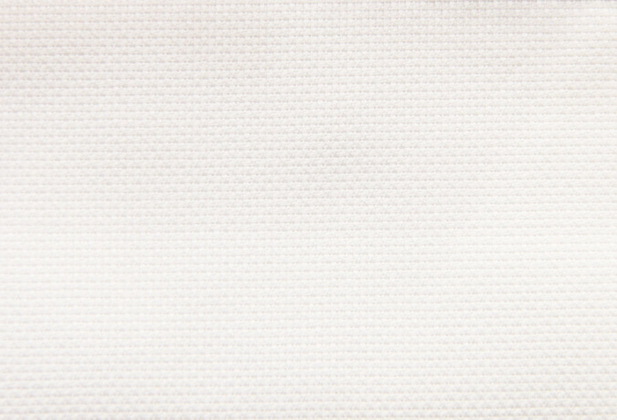 Thomas Mason Royal Oxford 100/2 Shirt