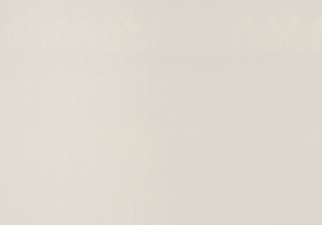 Thomas Mason Sliver 100/2 Shirt