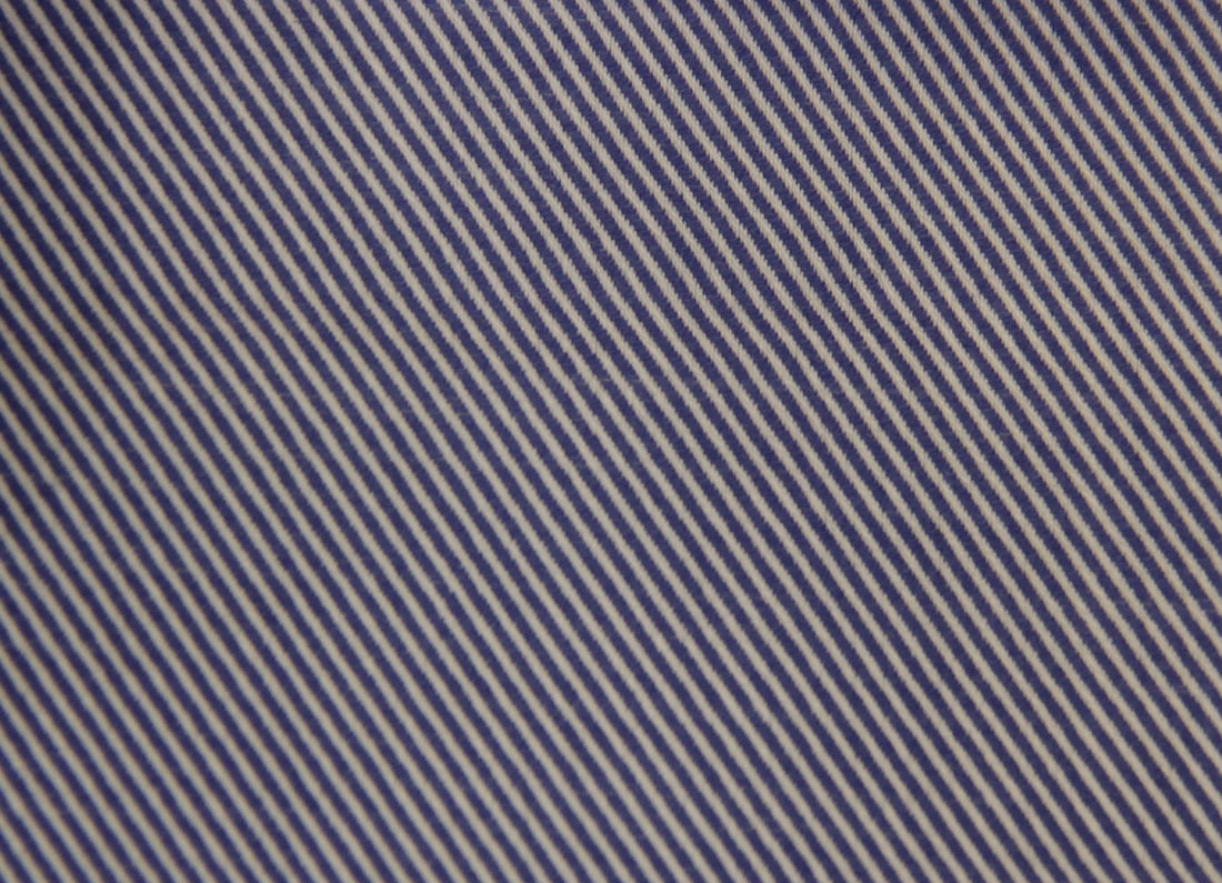 Thomas Mason Royal Twill 100/2 Shirt