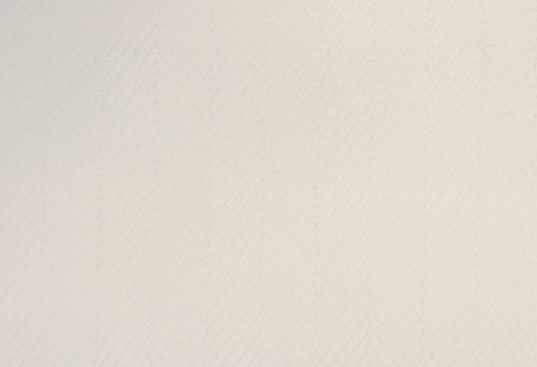 Thomas Mason Royal Twill 100/2 Shirt