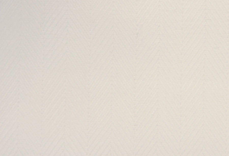 Thomas Mason Royal Twill 100/2 Shirt