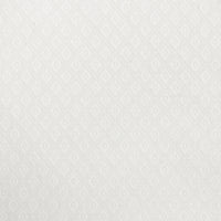 White On White Check Shirt