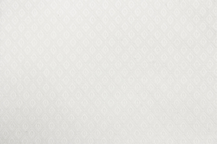 White On White Check Shirt