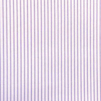 白色配紫色細條紋