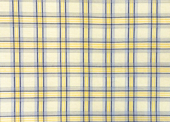 Yellow W/Blue Windowpane