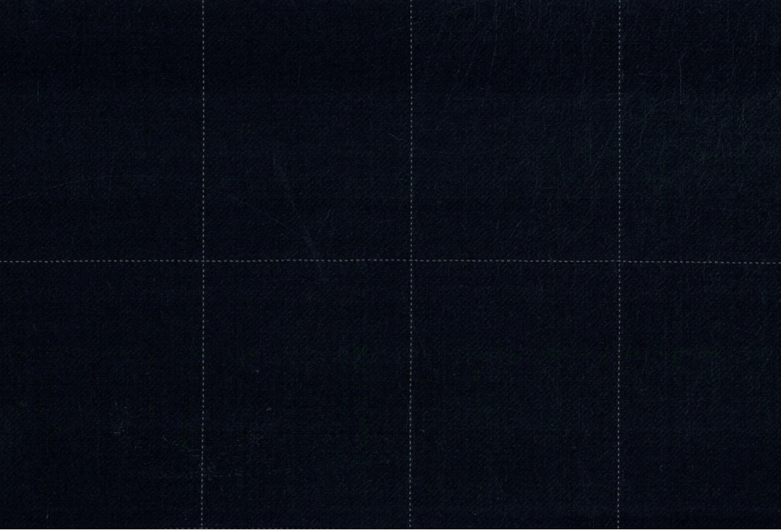 Caesar Romeo- Dark Navy Windowpane
