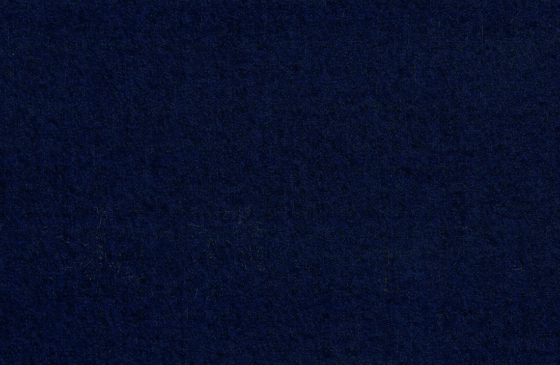 Vitale Barberis Canonico Perennial Super 110's- Light Navy