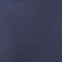 電光藍色鯊魚紋