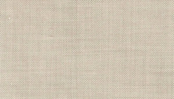 Light Beige Birdseye