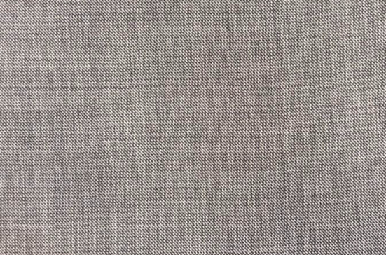 Light Grey Sharkskin
