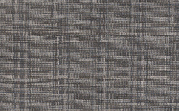 Light Grey Windowpane