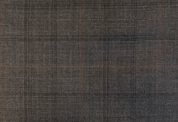 Grey W/ Bronze Check