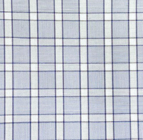Blue W/White Check