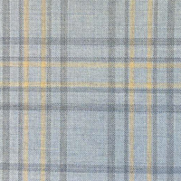 LIght Blue W/Yellow Check