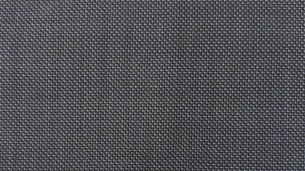 Greyish Blue Birdeye